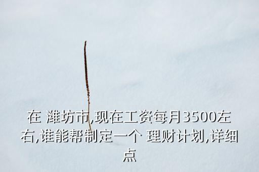 在 濰坊市,現(xiàn)在工資每月3500左右,誰(shuí)能幫制定一個(gè) 理財(cái)計(jì)劃,詳細(xì)點(diǎn)