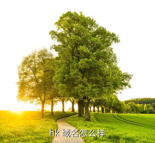 上市金融公司30萬買域名,上市的互聯網金融公司有哪些