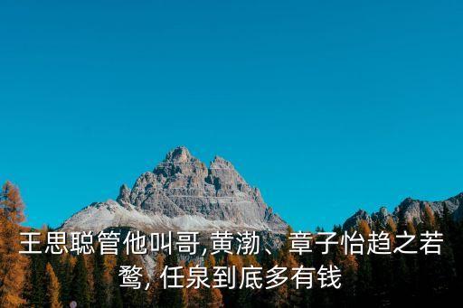 王思聰管他叫哥,黃渤、章子怡趨之若鶩, 任泉到底多有錢