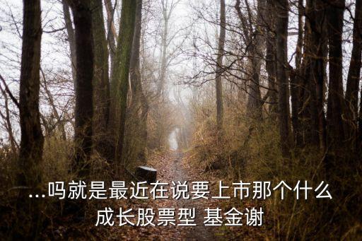 ...嗎就是最近在說要上市那個(gè)什么成長股票型 基金謝