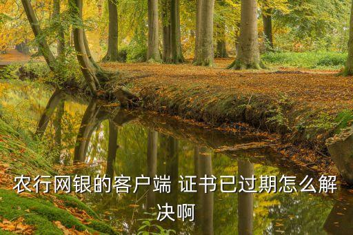 農(nóng)業(yè)銀行網(wǎng)上銀行證書(shū)更新