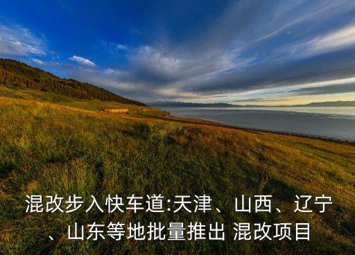  混改步入快車(chē)道:天津、山西、遼寧、山東等地批量推出 混改項(xiàng)目
