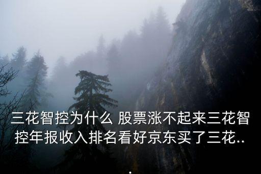 三花智控為什么 股票漲不起來(lái)三花智控年報(bào)收入排名看好京東買了三花...