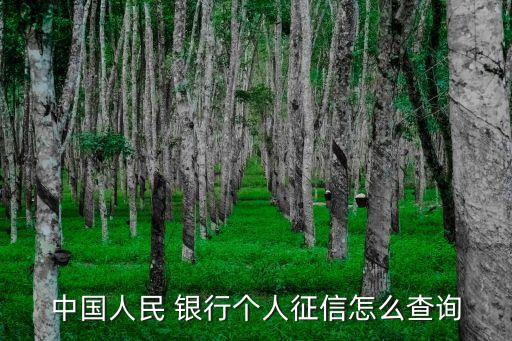 中國(guó)人民 銀行個(gè)人征信怎么查詢
