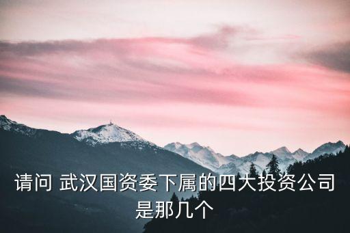 請(qǐng)問 武漢國(guó)資委下屬的四大投資公司是那幾個(gè)