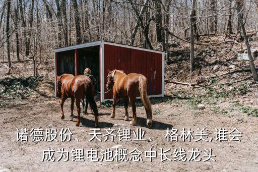 諾德股份、天齊鋰業(yè)、 格林美,誰會成為鋰電池概念中長線龍頭