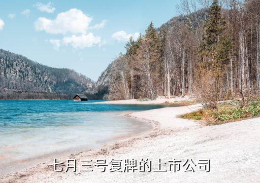 七月三號復牌的上市公司