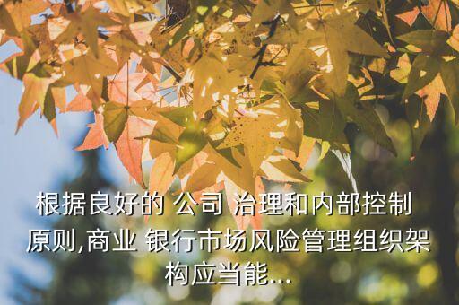 根據(jù)良好的 公司 治理和內(nèi)部控制 原則,商業(yè) 銀行市場風險管理組織架構(gòu)應(yīng)當能...