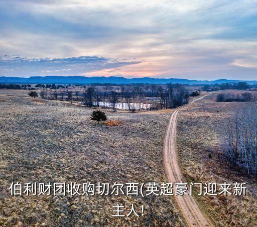 伯利財(cái)團(tuán)收購(gòu)切爾西(英超豪門迎來新主人!
