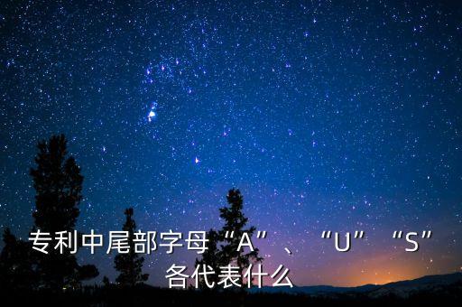 專利中尾部字母“A”、“U”“S”各代表什么