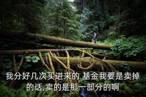 我分好幾次買進(jìn)來(lái)的 基金我要是賣掉的話,賣的是那一部分的啊