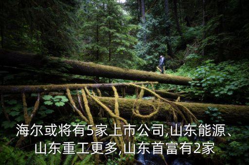 海爾或?qū)⒂?家上市公司,山東能源、山東重工更多,山東首富有2家