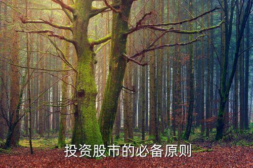 股票投資風(fēng)險控制的法則是