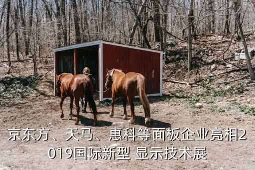 京東方、天馬、惠科等面板企業(yè)亮相2019國(guó)際新型 顯示技術(shù)展