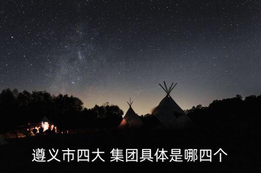 遵義市四大 集團(tuán)具體是哪四個