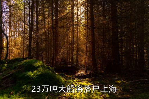 23萬(wàn)噸大船將落戶上海