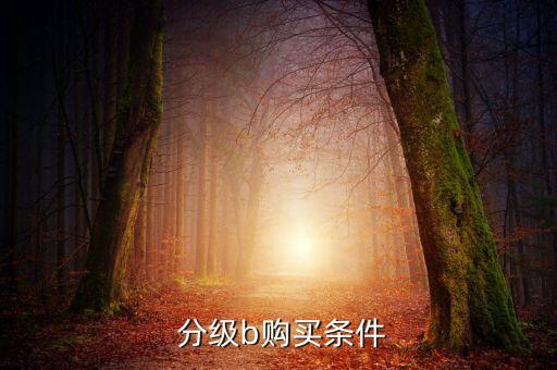分級(jí)基金b在哪里買,國債基金在哪里可以買