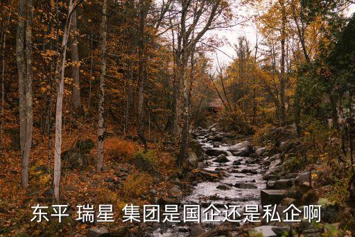 東平 瑞星 集團(tuán)是國(guó)企還是私企啊