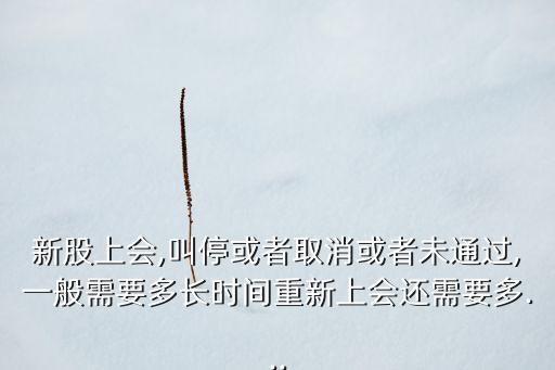 新股上會(huì),叫?；蛘呷∠蛘呶赐ㄟ^,一般需要多長(zhǎng)時(shí)間重新上會(huì)還需要多...