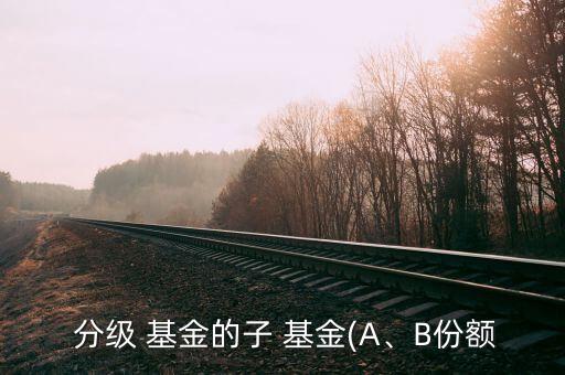  分級(jí) 基金的子 基金(A、B份額