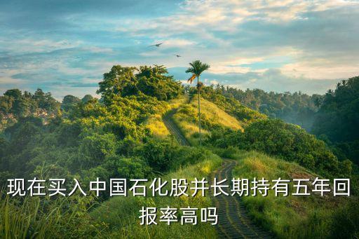 2014中國石油中報(bào)點(diǎn)評