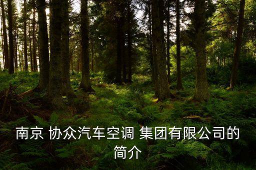 協(xié)眾集團老總陳存友,南京協(xié)眾集團陳存友