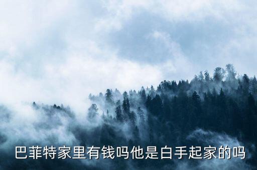 中國巴菲特簡介,巴菲特的個(gè)人資料及簡介