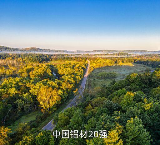 中國鋁材20強