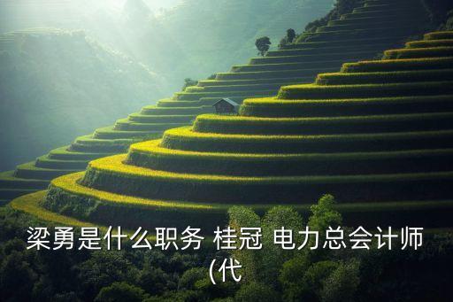 梁勇是什么職務(wù) 桂冠 電力總會計(jì)師(代