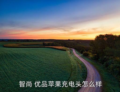  智尚 優(yōu)品蘋(píng)果充電頭怎么樣