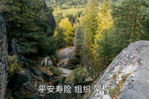 財產(chǎn)保險公司組織架構,太平洋財產(chǎn)保險公司組織架構