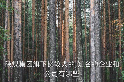 陜西彬長礦業(yè)集團(tuán)有限公司煤化工分公司,2、陜西彬長礦業(yè)集團(tuán)有限公司