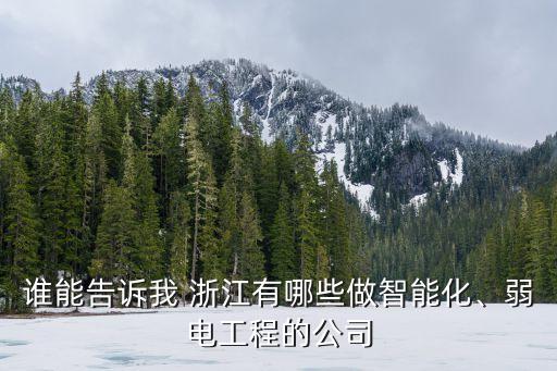 誰能告訴我 浙江有哪些做智能化、弱電工程的公司