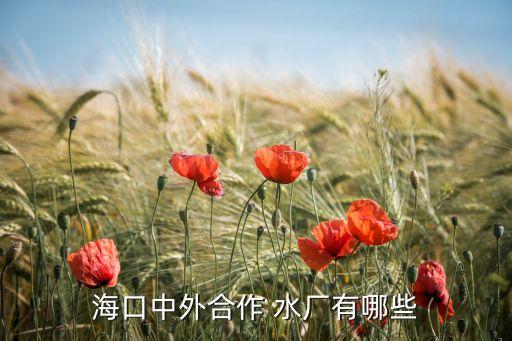 ?？谥型夂献?水廠有哪些