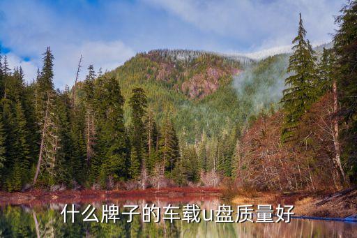 什么牌子的車載u盤(pán)質(zhì)量好