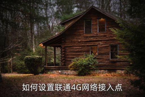 如何設置聯通4G網絡接入點