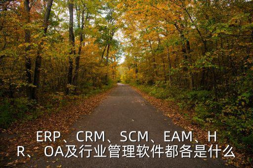 ERP、CRM、SCM、EAM、HR、 OA及行業(yè)管理軟件都各是什么