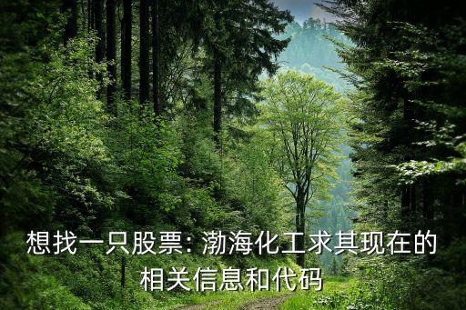 想找一只股票: 渤?；で笃洮F(xiàn)在的相關(guān)信息和代碼