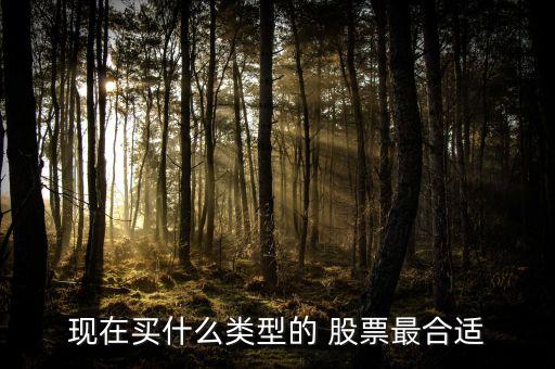 現(xiàn)在買(mǎi)什么類型的 股票最合適
