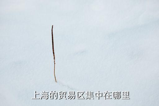 上海自貿(mào)區(qū)在哪里買(mǎi)東西,重慶自貿(mào)區(qū)買(mǎi)東西便宜嗎?