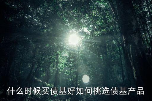 什么時(shí)候買(mǎi)債基好如何挑選債基產(chǎn)品