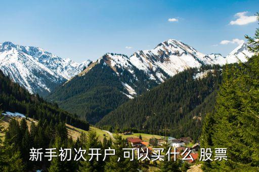 新手初次開(kāi)戶,可以買(mǎi)什么 股票