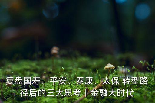 壽險公司戰(zhàn)略轉型