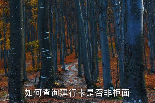 建設銀行非現金柜臺