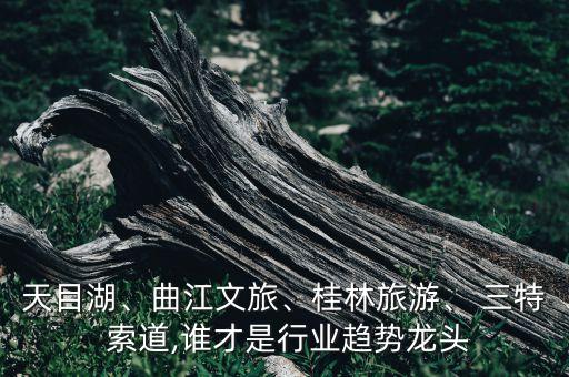 天目湖、曲江文旅、桂林旅游、 三特 索道,誰(shuí)才是行業(yè)趨勢(shì)龍頭