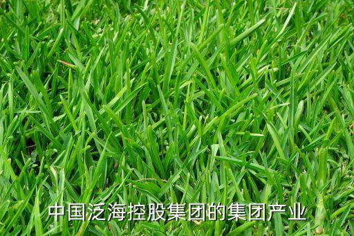 中國(guó)泛?？毓杉瘓F(tuán)的集團(tuán)產(chǎn)業(yè)