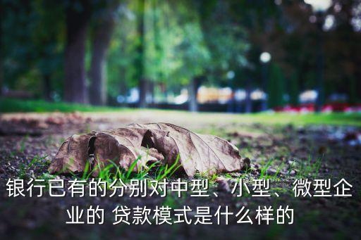 銀行已有的分別對中型、小型、微型企業(yè)的 貸款模式是什么樣的