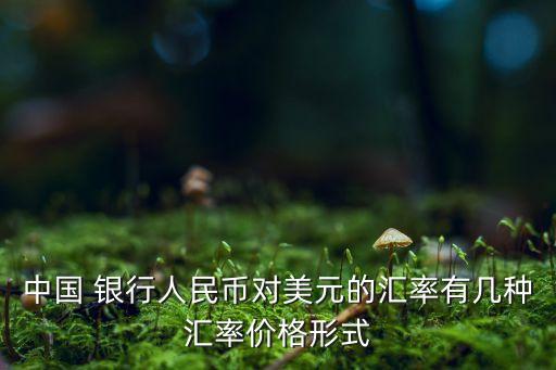 中國 銀行人民幣對(duì)美元的匯率有幾種匯率價(jià)格形式