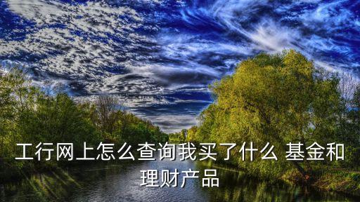 工行網(wǎng)上怎么查詢我買了什么 基金和理財產品