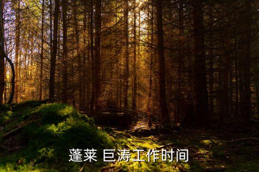 巨濤海洋石油服務有限公司